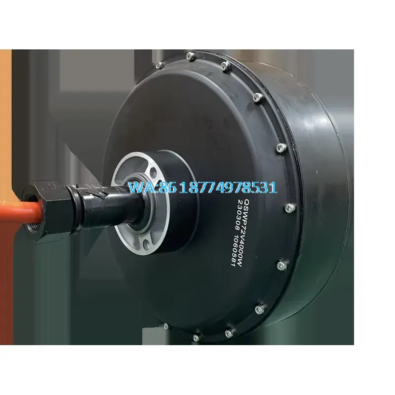 Wmwmnu voor QS 273 8000W 72V 5 - Qs Motor 273 8000W Hub Motor recensie en prijs